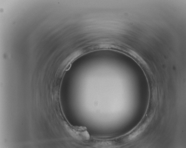 X0000062920801200601202000