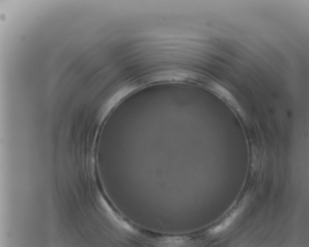 X0000062920802200601202000