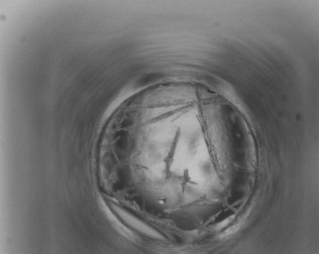 X0000062920803200601202000