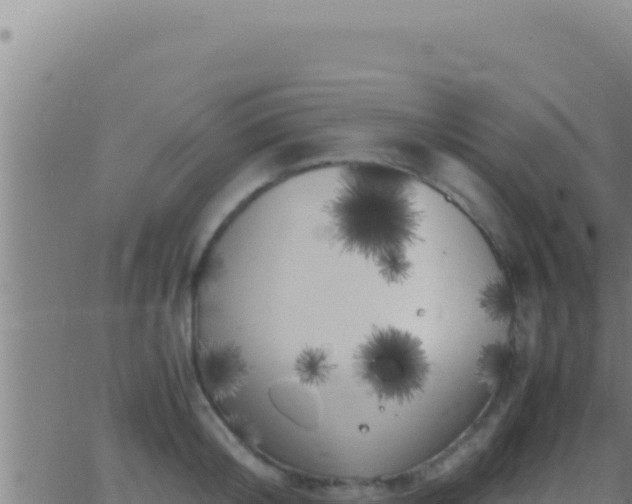 X0000062920804200601202000