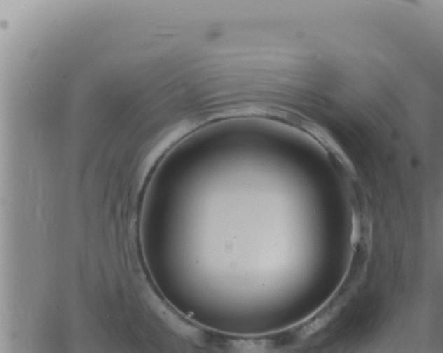 X0000062920805200601202000