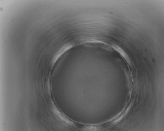 X0000062920806200601202000