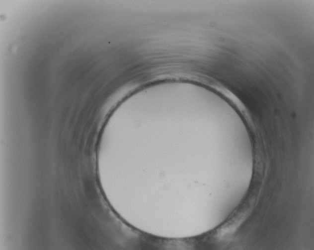 X0000062920807200601202000