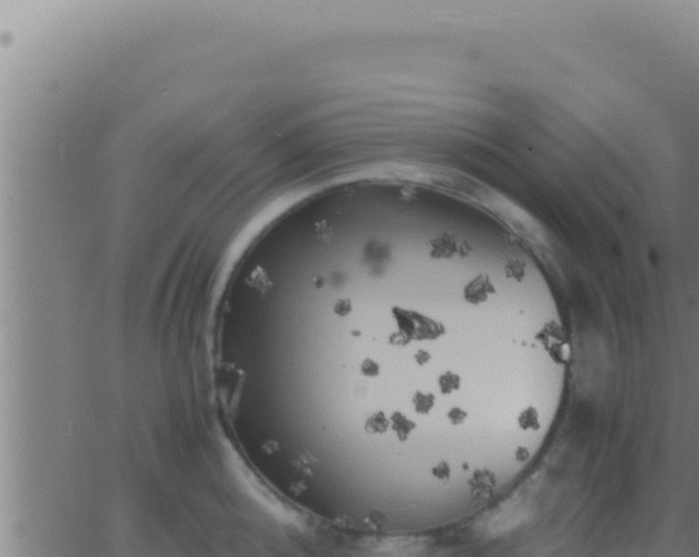 X0000062920808200601202000