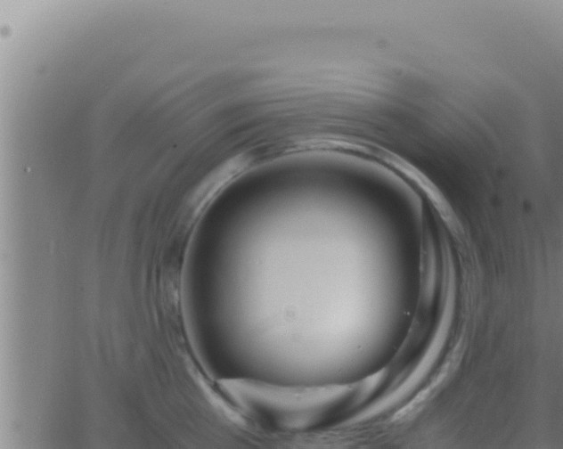 X0000062920809200601202000