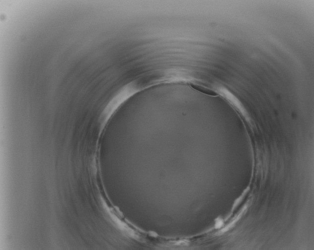 X0000062920810200601202000