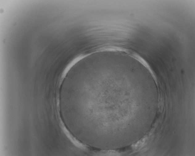 X0000062920811200601202000