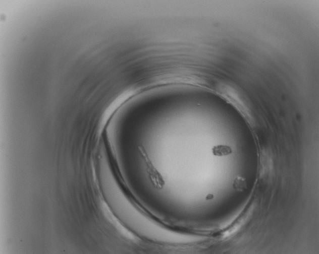 X0000062920812200601202000