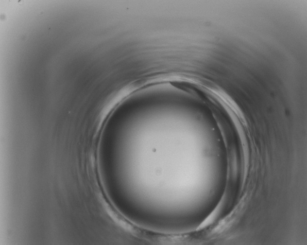 X0000062920813200601202000