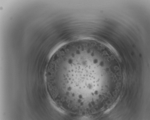 X0000062920814200601202000