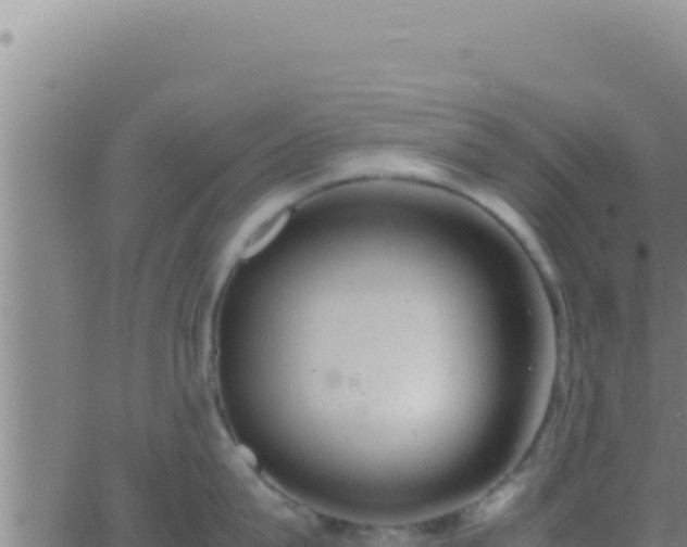 X0000062920815200601202000