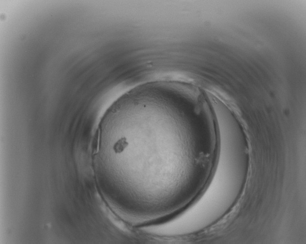 X0000062920816200601202000