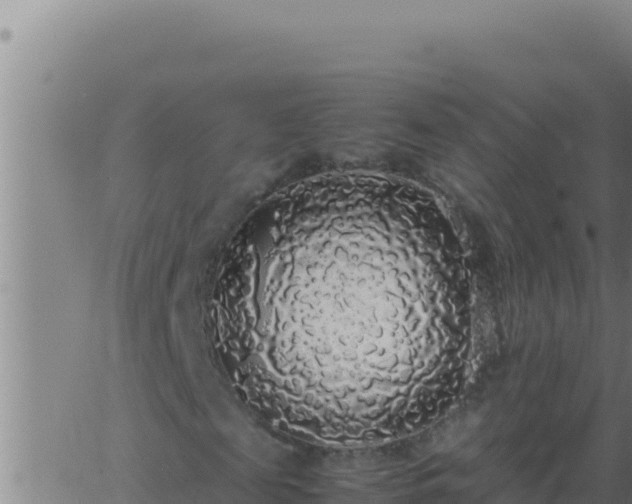 X0000062920817200601201959