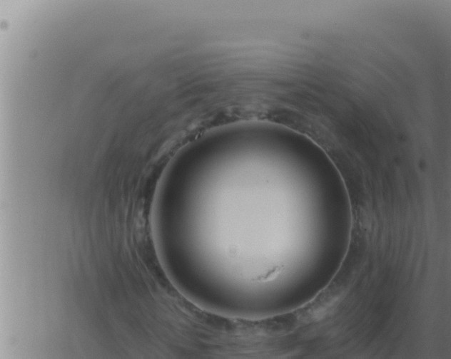 X0000062920818200601201959