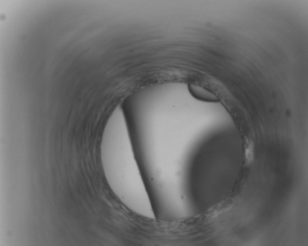 X0000062920819200601201959