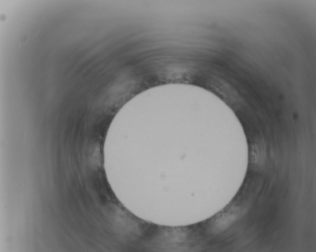 X0000062920820200601201959