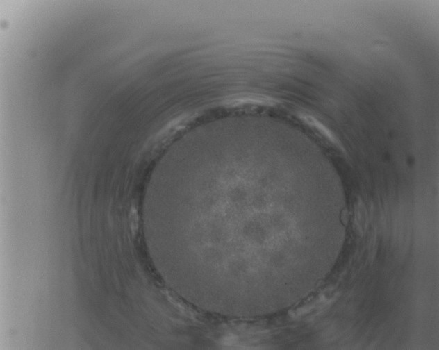 X0000062920821200601201959