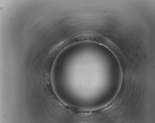 X0000062920822200601201959