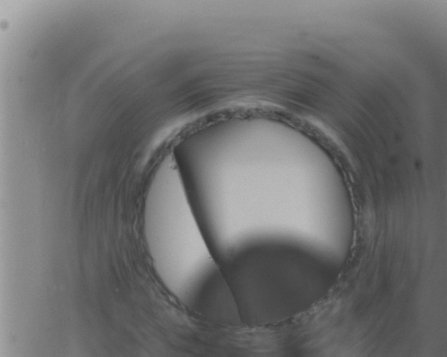 X0000062920823200601201959