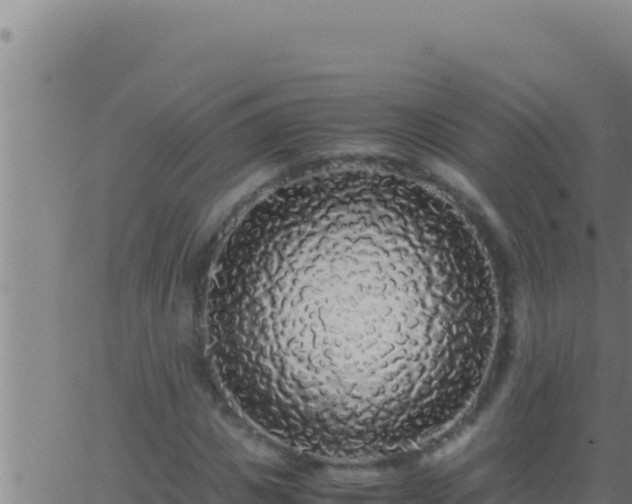 X0000062920825200601201959