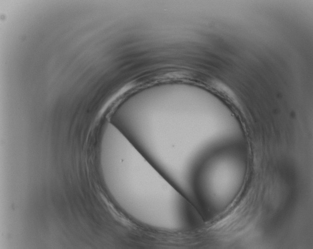 X0000062920827200601201959