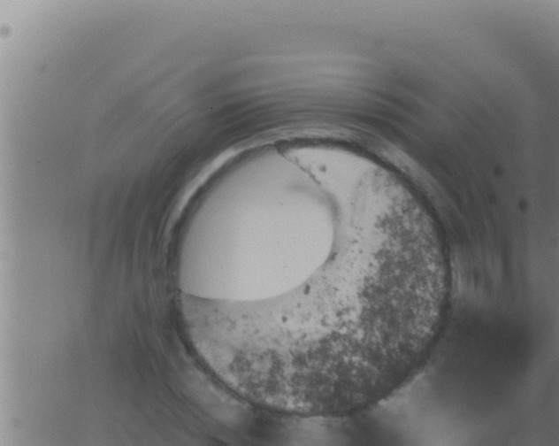 X0000062920828200601201959