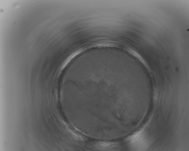 X0000062920829200601201959