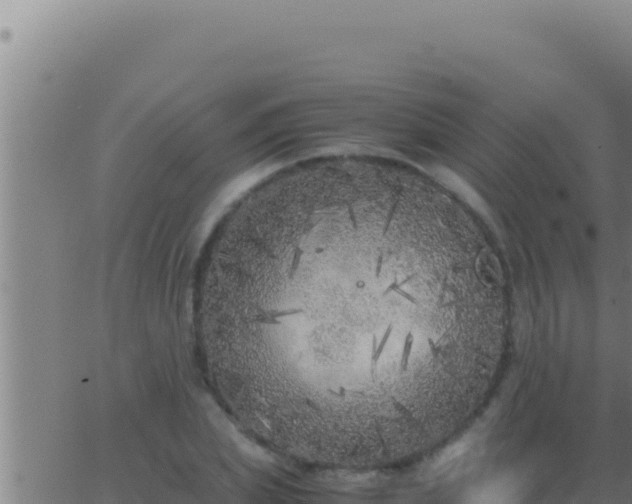 X0000062920831200601201959