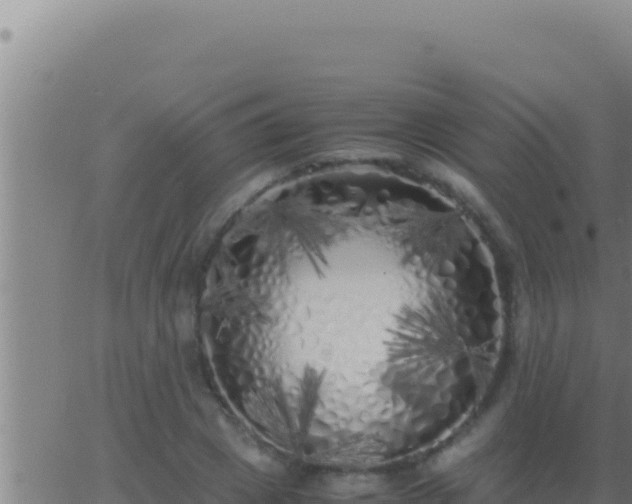 X0000062920833200601201959