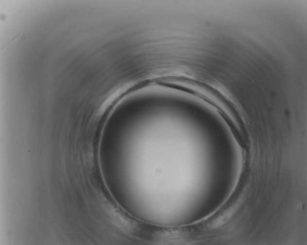 X0000062920834200601201959