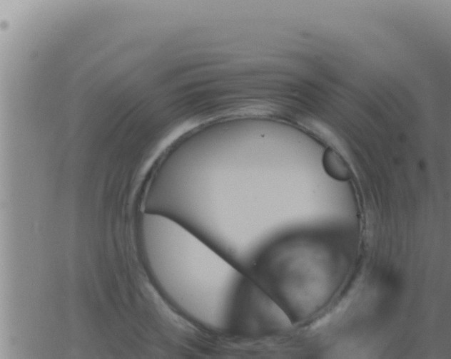 X0000062920835200601201959