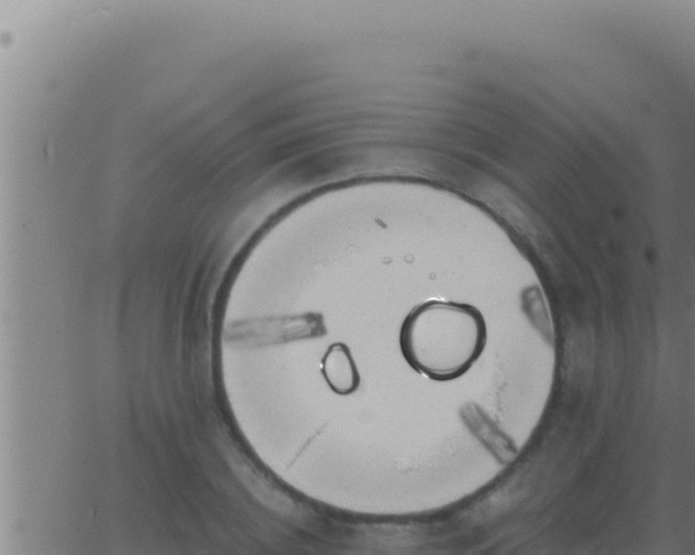 X0000062920836200601201959