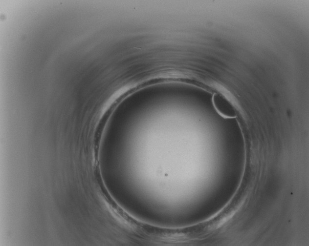 X0000062920837200601201959