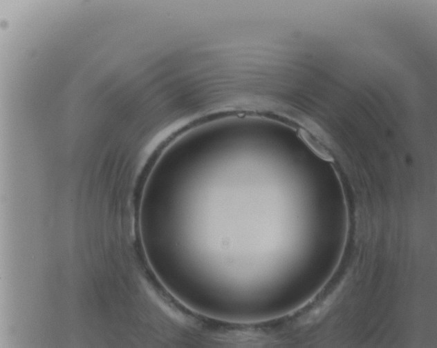 X0000062920838200601201959