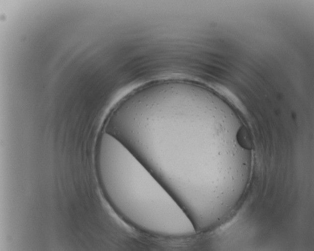 X0000062920839200601201959