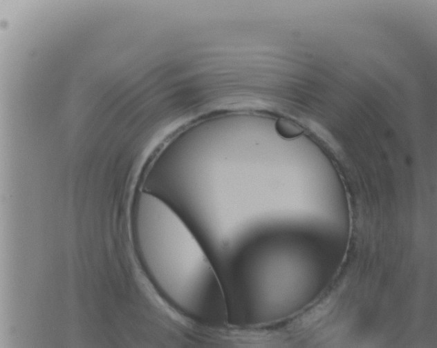 X0000062920840200601201959