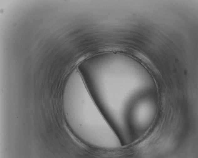 X0000062920841200601201959