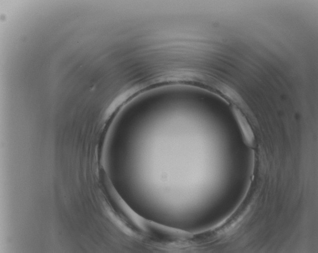 X0000062920842200601201959