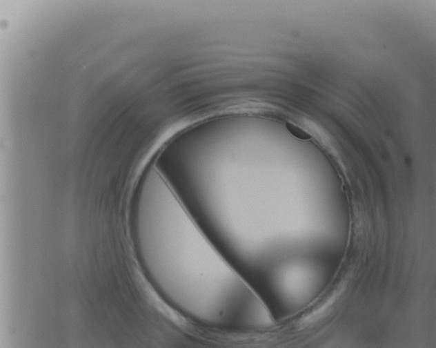 X0000062920843200601201959