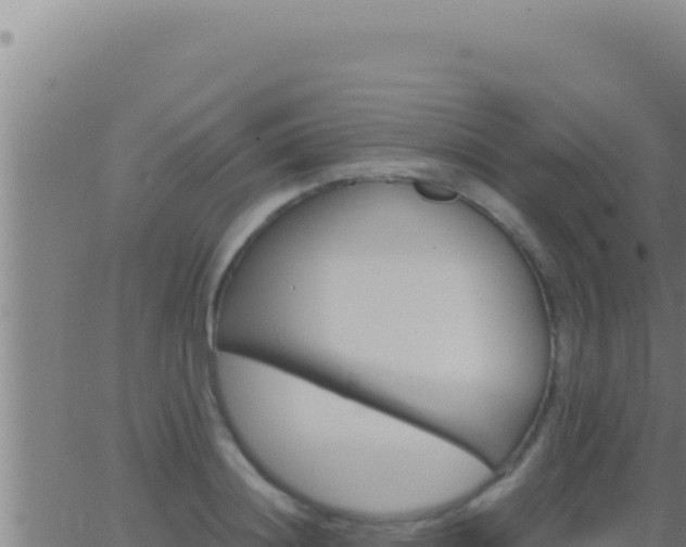 X0000062920844200601201959