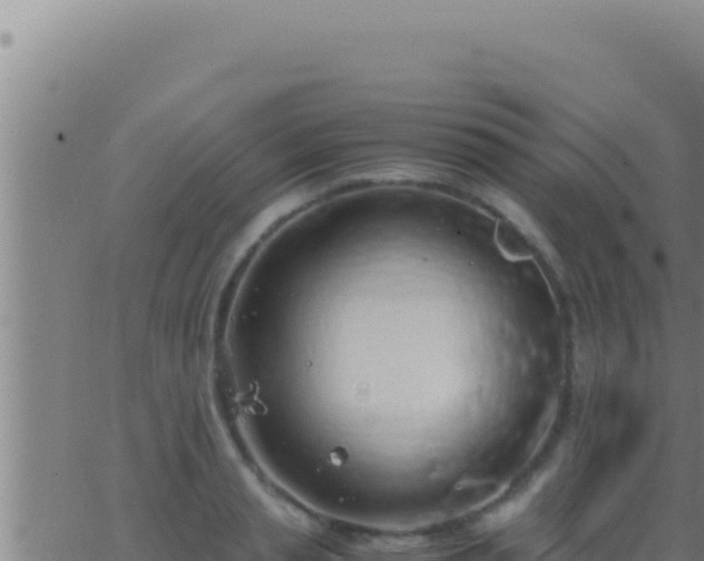 X0000062920845200601201959