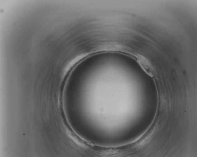 X0000062920846200601201959