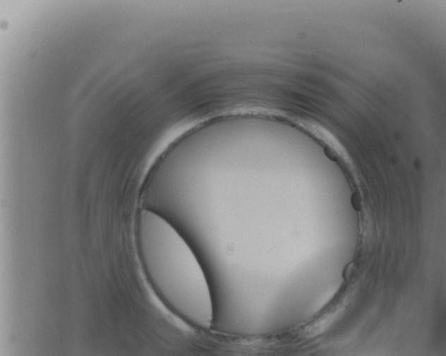 X0000062920847200601202000