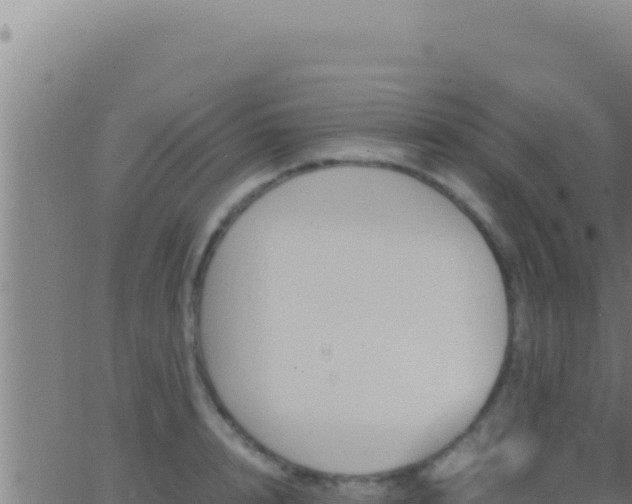 X0000062920848200601202000