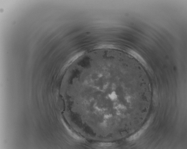 X0000062920849200601202000