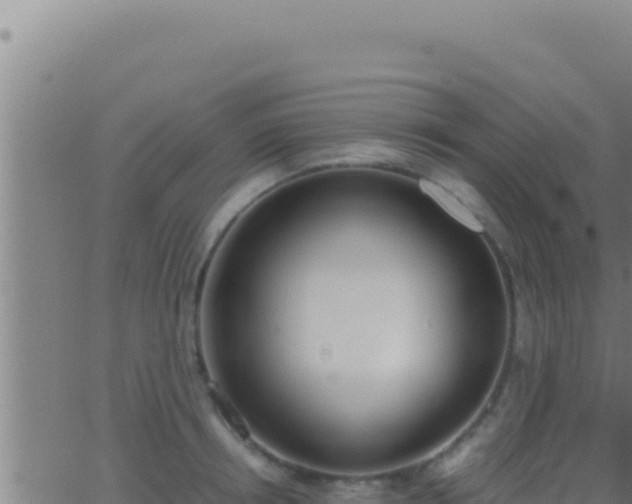 X0000062920850200601202000