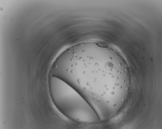 X0000062920851200601202000