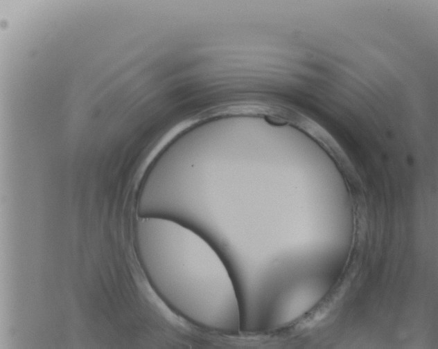 X0000062920852200601202000