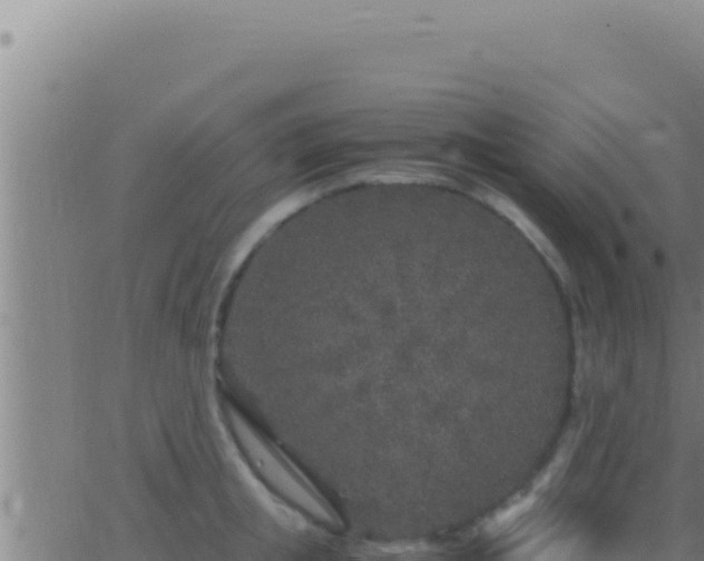 X0000062920853200601202000