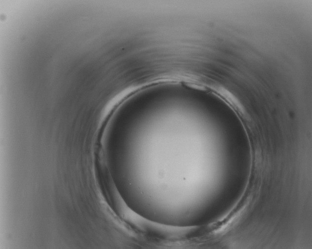 X0000062920854200601202000